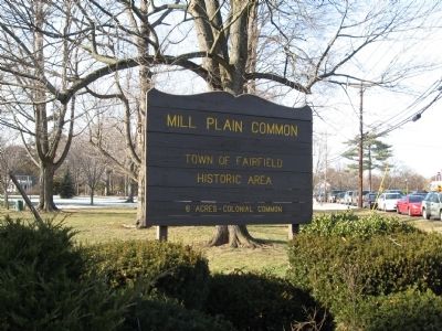 Mill Plain Common. Click for full size. Mill Plain Common image. Click for full size.