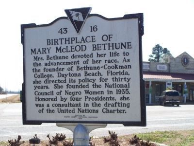 Birthplace of Mary McLeod Bethune Marker, reverse side image. Click for full size.
