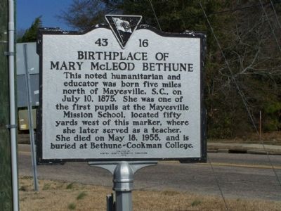 Birthplace of Mary McLeod Bethune Marker image. Click for full size.