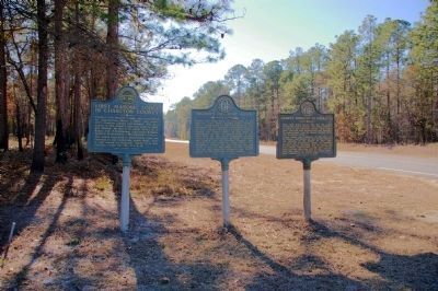 First Masonic Lodge in Charlton County Marker image. Click for full size.