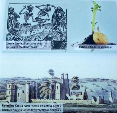Potato, Famine, and Rathcline Castle on Marker. Click for full size. Potato, Famine, and Rathcline Castle on Marker image. Click for full size.