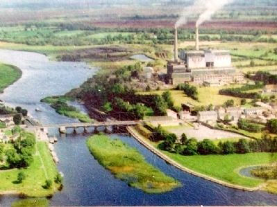 Peat Plant Photo on Marker. Click for full size. Peat Plant Photo on Marker image. Click for full size.