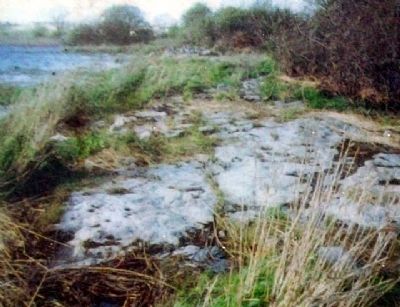 Marshland Photo on Marker. Click for full size. Marshland Photo on Marker image. Click for full size.