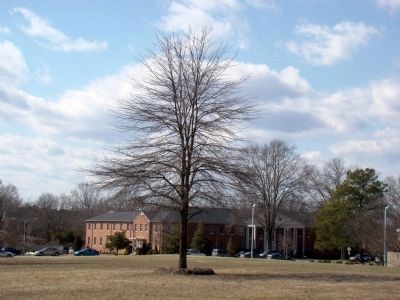 Building at the Former Camp Butner. Click for full size. Building at the Former Camp Butner image. Click for full size.