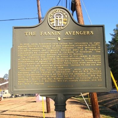 The Fannin Avengers Marker. Click for full size. The Fannin Avengers Marker image. Click for full size.