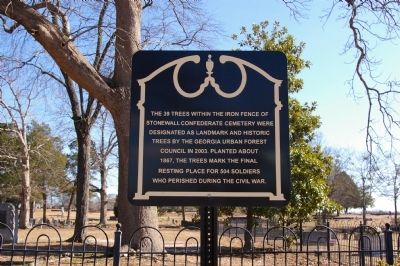 Confederate Cemetery image. Click for full size.
