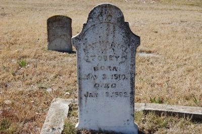 Nathaniel Tobey Headstone image. Click for full size.