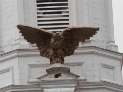 Tennessee Tech Eagle. Click for full size. Tennessee Tech Eagle image. Click for full size.