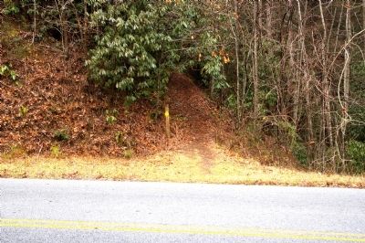 William Bartram Trail. Click for full size. William Bartram Trail image. Click for full size.