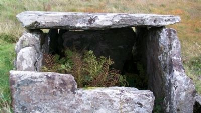 Srahwee or Altóir Megalithic Wedge Tomb image. Click for full size.