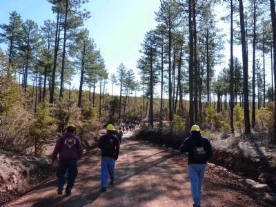 Attendees of a Dude Fire Staff Ride Walk Through Forest Remnants image. Click for full size.
