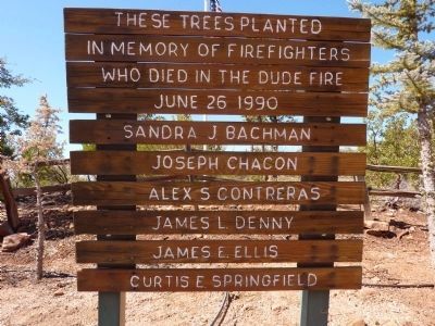 These Trees Planted in Memory of the Firefighters Who Died in the Dude Fire June 26, 1990 Marker. Click for full size. These Trees Planted in Memory of the Firefighters Who Died in the Dude Fire June 26, 1990 Marker image. Click for full size.