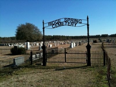 Ridge Spring Cemetery image. Click for full size.