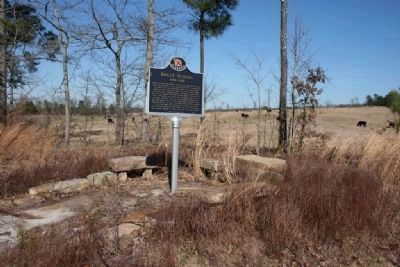 Bailey School Marker Next to the Cow Pasture image. Click for full size.