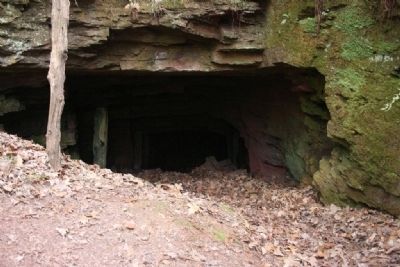 Portal to Ruffner Mountain Drift Mine #3. Birmingham, Alabama. image. Click for full size.