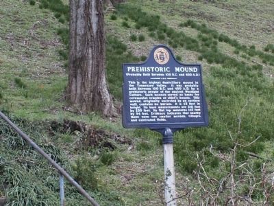 Prehistoric Mounds Marker image. Click for full size.