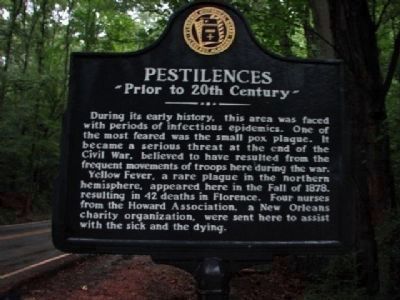 Pestilence - Side 2. Click for full size. Pestilence - Side 2 image. Click for full size.