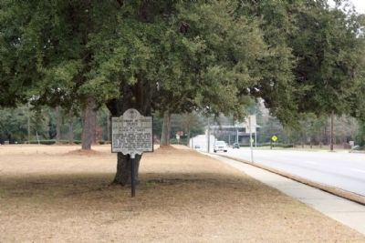 Green Swamp Methodist Church Marker, looking eastward along West Liberty Street (State Road 763). Click for full size. Green Swamp Methodist Church Marker, looking eastward along West Liberty Street (State Road 763) image. Click for full size.
