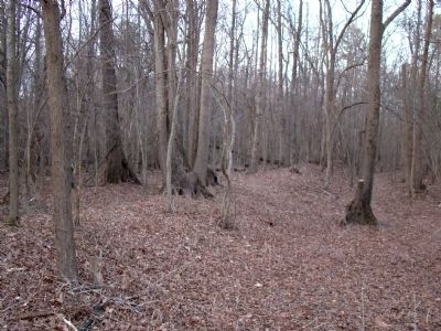 Earthworks in the Now Wooded Area image. Click for full size.
