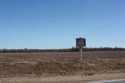 Rev. Thomas Reese English Marker Amid the Cotton Fields of Lee County image. Click for full size.