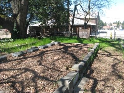 Tehan Family Plot. Click for full size. Tehan Family Plot image. Click for full size.