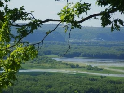 View of Upper Mississippi River from Passenger Pigeon Monument image. Click for full size.