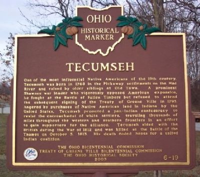 Tecumseh Marker (Side A) image. Click for full size.