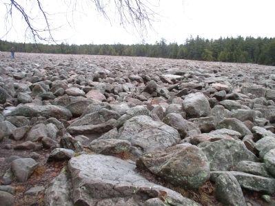 Hickory Run Boulder Field image. Click for full size.