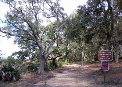 Remnants of the old River Road to Wilmington image. Click for full size.