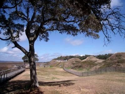 Interior view of Fort Fisher's land face (facing northwest). image. Click for full size.