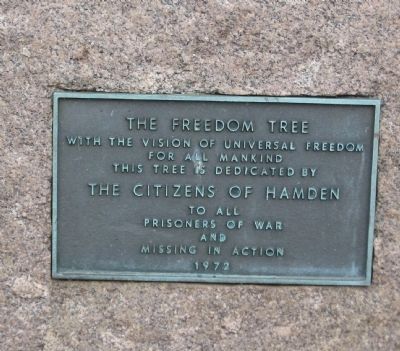 The Freedom Tree Marker image. Click for full size.