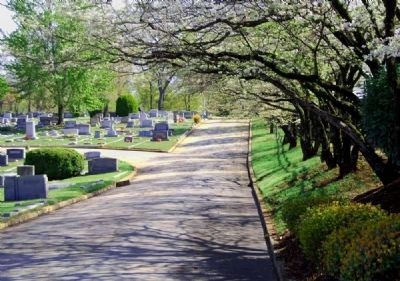 Springwood Cemetery. Click for full size. Springwood Cemetery image. Click for full size.