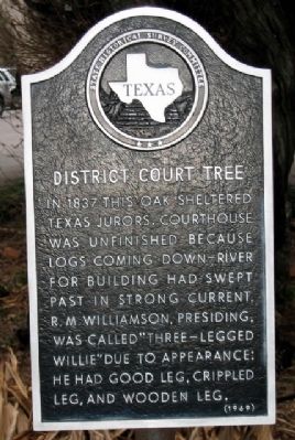 District Court Tree Marker image. Click for full size.