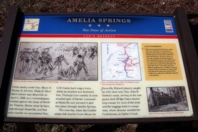 Amelia Springs CWT Marker image. Click for full size.