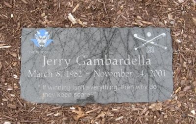 Marker at Noyes Field in Painter Park. Click for full size. Marker at Noyes Field in Painter Park image. Click for full size.