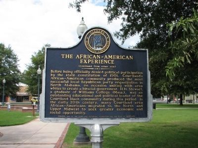 The African ~ American Experience Reverse Side image. Click for full size.