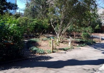 Kilgore-Lewis Sensory Garden. Click for full size. Kilgore-Lewis Sensory Garden image. Click for full size.