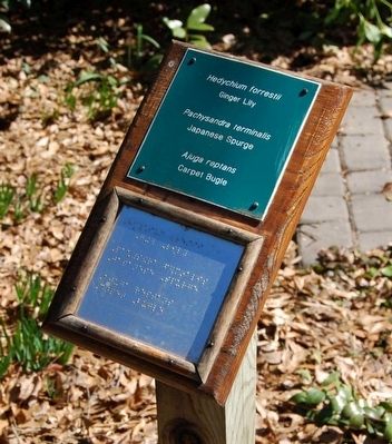 Sensory Garden Signage<br>Top in Large Print<br>Bottom in Braille image. Click for full size.