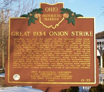 Great 1934 Onion Strike Marker (Side B) image. Click for full size.
