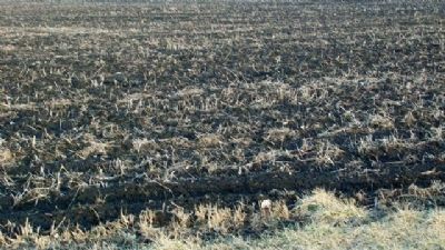 The Rich Scioto Marsh Soil image. Click for full size.