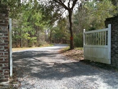 Lewisfield Plantation Gate image. Click for full size.