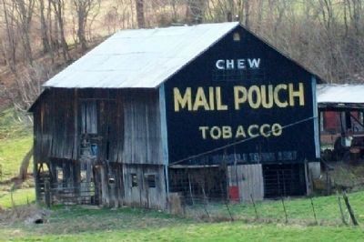 Mail Pouch Ad on Barn image. Click for full size.