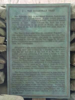 Plaque: I — Balmville Tree image. Click for full size.