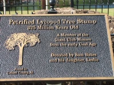 Petrified Lycopod Tree Stump Marker. Click for full size. Petrified Lycopod Tree Stump Marker image. Click for full size.