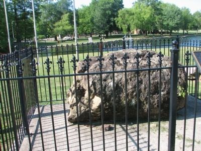 Petrified Lycopod Tree Stump. Click for full size. Petrified Lycopod Tree Stump image. Click for full size.