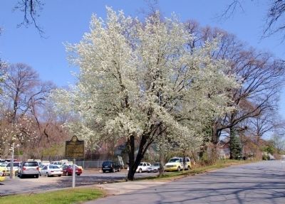Loring’s Hill Marker. Click for full size. Loring’s Hill Marker image. Click for full size.