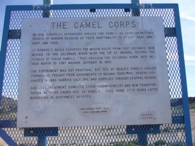 The Camel Corps Marker image. Click for full size.