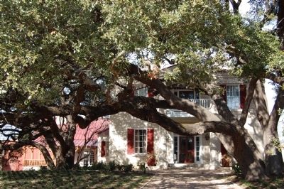 Twelve Oaks image. Click for full size.