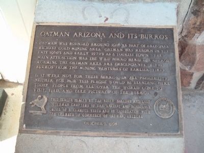 Oatman Arizona and its Burros Marker image. Click for full size.