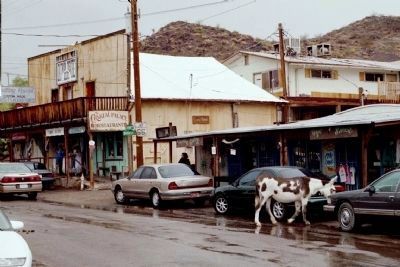 Oatman, Arizona Where Burros Rule the Road image. Click for full size.